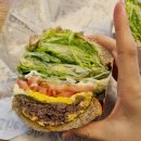 보노샌드 이미지