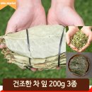 그라비올라 이미지
