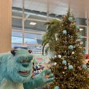 주식회사 제주엔젤렌트카 이미지