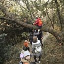 작은나무숲 이미지