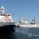정인공조 이미지