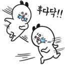 살롱드레아 이미지