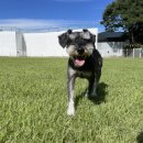 늘푸른공간 이미지