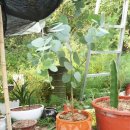 해천농장 이미지