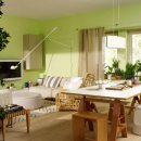 플랜테리어 이미지