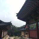 지축동 흥국사길 이미지
