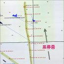 세월호의 진실은 무엇인가? - 사고를 사건으로 키우지 말라 이미지