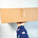 아테네헤어테크닉 | [셀리본] S컬, C컬 웨이브 헤어스타일링이 쉬워지는 아테네 여신브러시아이롱 사용후기 feat, 롤고데기