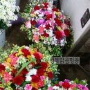 중앙꽃화원 이미지
