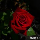 멀리가는향기 이미지