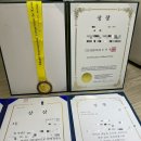 첼로(초등학교 2~6학년) 이미지