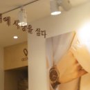 보우드 이미지