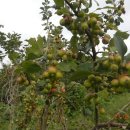 백월산농장 이미지