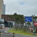 배양삼거리 | 시험관 9차 후기 서울역차병원 황유임 교수님 진료 후기 (순천향대학교 한선욱교수님 갑상선암 사후관리)