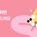 D00856 네이버블로그