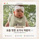 🌿 인스타에서 핫한 아기 턱받이 지니윤 오가닉 턱받이 세이지그린 솔직 후기