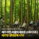 [마을역량강화]생태환경교육 | 제주 자연, 마을의 새로운 소득이 됩니다. 제주형 생태경제 시작!🌿