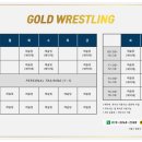 골드 레슬링 태릉 이미지