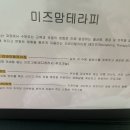 미즈맘 테라피