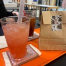 진도우리화원 | 2026년 3월 일상