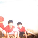 호돌이비디오 이미지