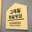 고래힐 동물병원 이미지