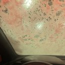 백곰세탁소 이미지