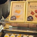 [대전 맛집] 성심당 본점, 케익부띠끄 방문 후기 / 메론시루, 멜론시루, 메론 1통 케이크, 웨이팅, 방문...