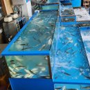 서천서해안횟집 | 극한직업 서천 주꾸미 식당