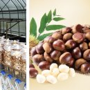 구룡농업 협동조합 이미지