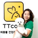 KDI헬스케어 이미지