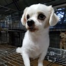 무전대로 이미지