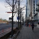2월11일(일)/여의도 한강공원과 선유도공원걷기(지아님 리딩) 이미지