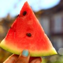 수박이네 이미지