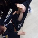 라이온 합기도 이미지