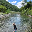 산돼지마을 | 울산 배내골 산돼지마을 부산근교 경남 애견동반 계곡식당 재방문 후기