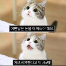 길동사 이미지