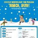 [예비초등4학년] 겨울독서교실 이미지