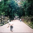 [사고]많았던~삶의향기의 우여곡절&로맨틱 첫 일본여행(오사까,교토,나라)-5일 나라/Epilogue 이미지
