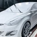 셀세모덕신, 남창점 이미지