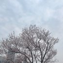 중국여행을 위한 회화 | 중국 대련 여행을 위한 최근 동강 날씨 후기