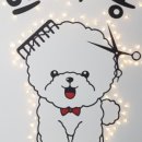 쁘띠몽 이미지