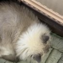 나래종합동물병원 이미지