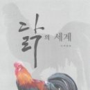 피닉스