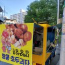 김천땅콩 이미지