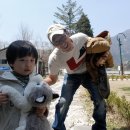 정선양떼목장 이미지