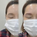 셀라인 | 마산눈썹문신 후기 이직 준비하면서 셀라인뷰티 다녀왔어요