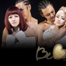 베베미뇽 이미지