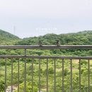 우진농수산물 | 2박3일 제주여행 코스 여름 제주도 여행 계획 비용 준비물
