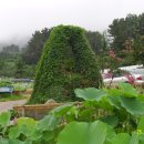 동업 농장 이미지